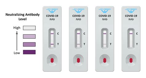 The right <strong>test</strong> depends on the goal, such as confirming an active <strong>COVID</strong>-19 infection; identifying asymptomatic or pre-symptomatic individuals to follow CDC. . Vertical line on covid test